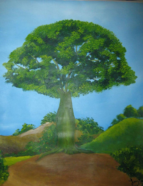 El ceibo