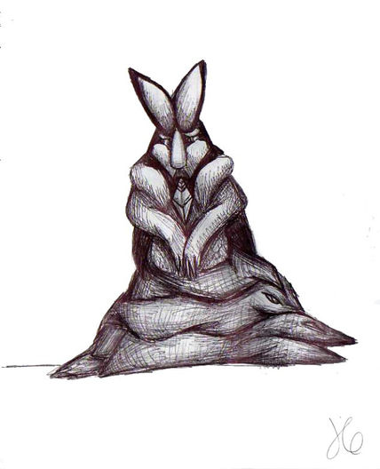 Conejo