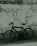 La bicicleta