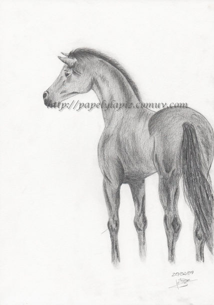 Caballo