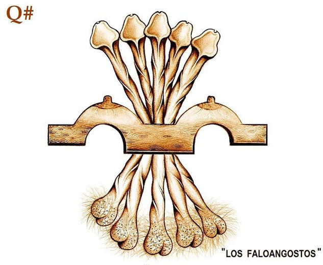 LOS FALOANGOSTOS 