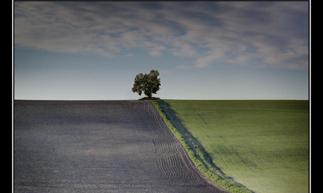 Paisajes