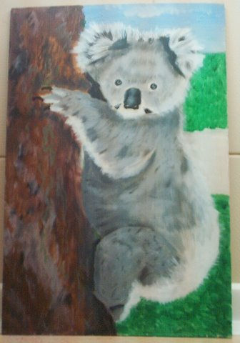 Koala en eucaliptus. 