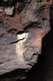 Cara en la roca/Face on the rocks
