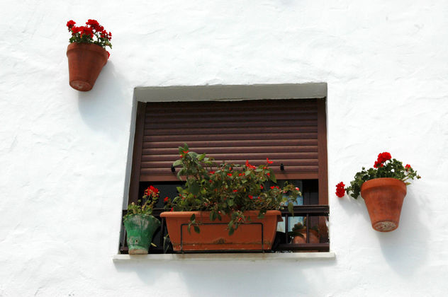 Flores rojas en la ventana