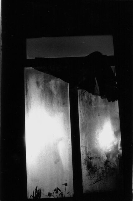 Wiindow/Ventana