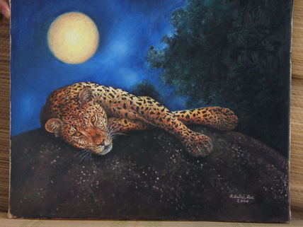 Leopardo