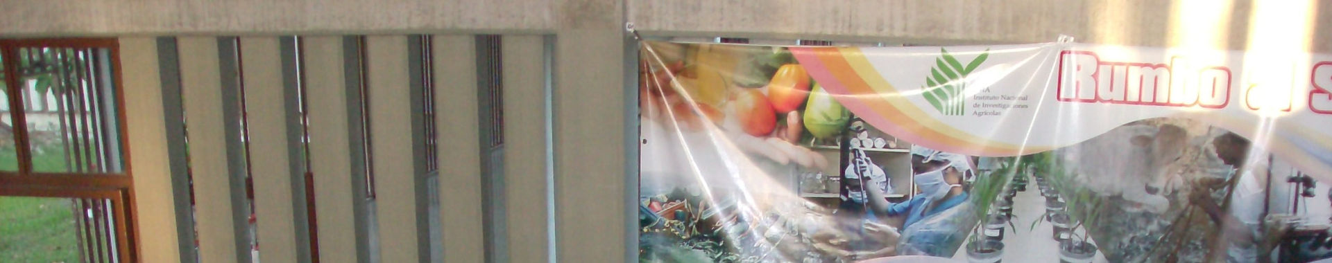 Imagen de portada