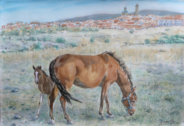 CABALLOS PASTANDO Watercolour Paper Landscaping