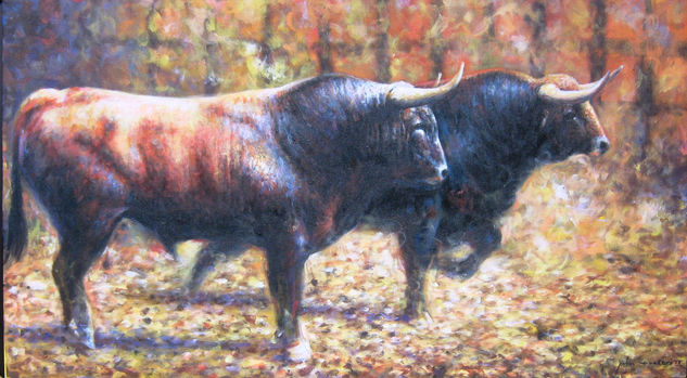 sincelejo y corraleja Oil Canvas Animals