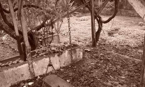 Fotos