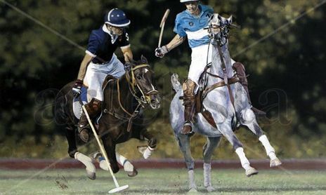 Caballos / horses