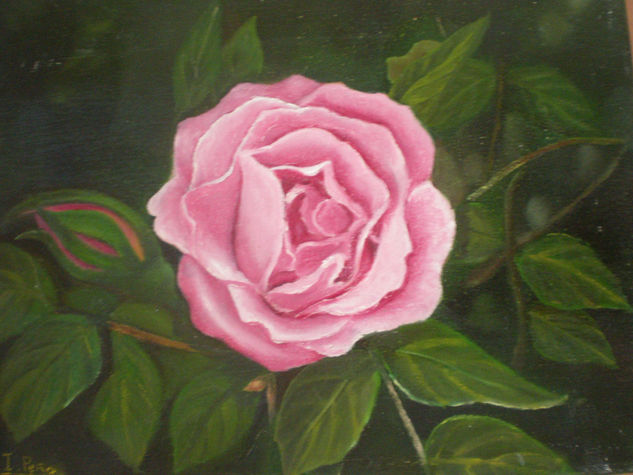 La rosa Oil Canvas Landscaping