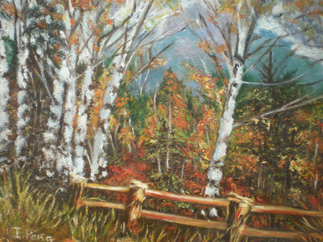 bosque Oil Canvas Landscaping