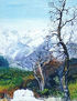 Paisaje: Altas Cumbres