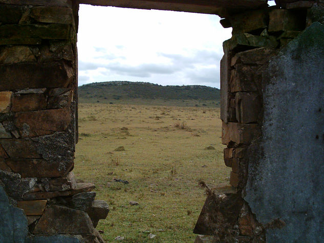 Ventana Naturaleza Color (Digital)