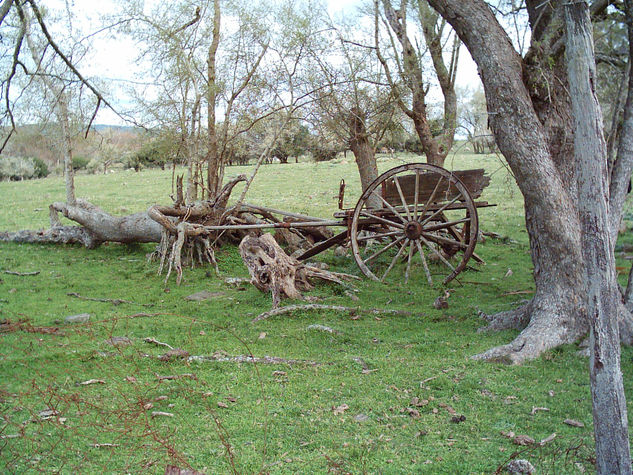 Huellas del pasado 