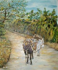 Burros de carga