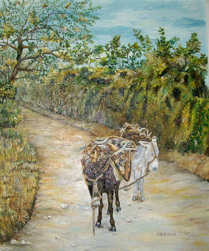 Burros de carga