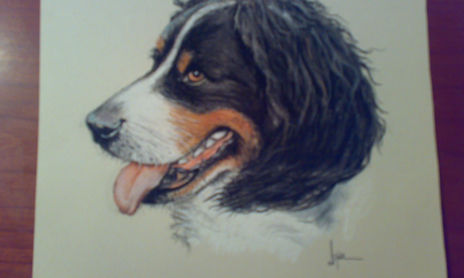PASTEL Y CARBONCILLO