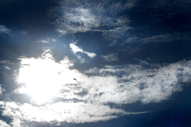 Skylight