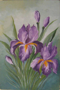 Iris