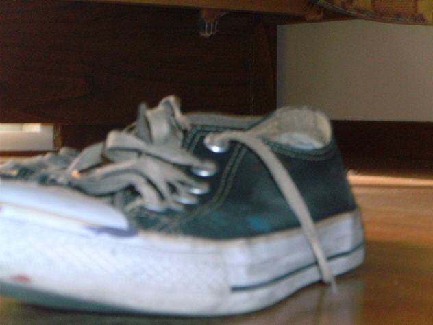 zapatilla 3
