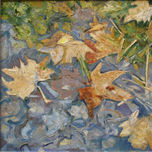 FLORES thumbnail 1