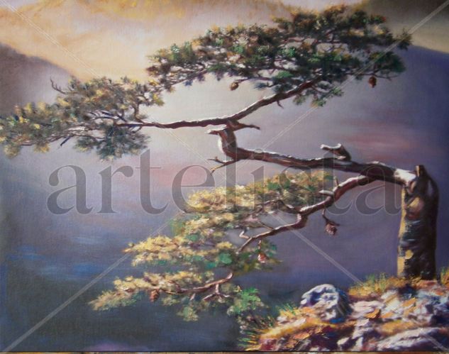 VIEJO PINO Oil Canvas Landscaping