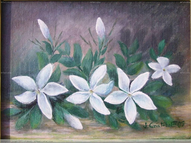 Jazmín Oil Panel Floral Painting