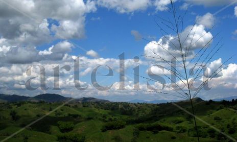 Nubes, Motas Y Masmelos