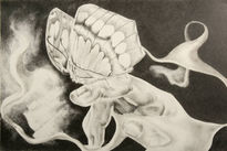 Mariposa
