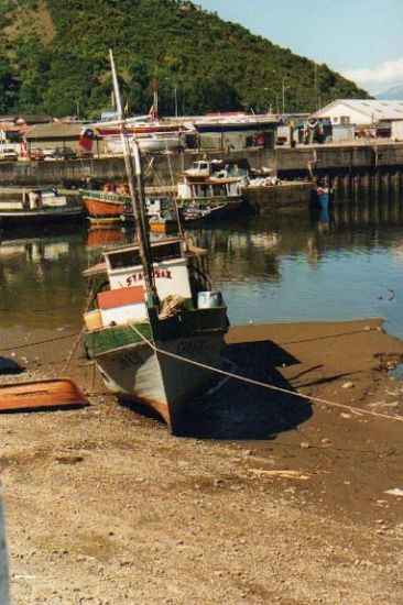 Angelmó - Puerto Montt - Chile 