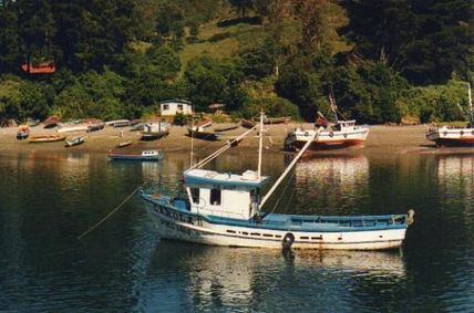 Canal Tenglo -...