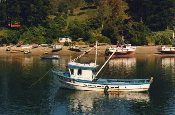 Canal Tenglo - Puerto Montt - Chile 