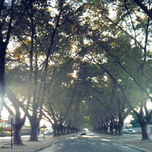 Paisajes de Chile thumbnail 1