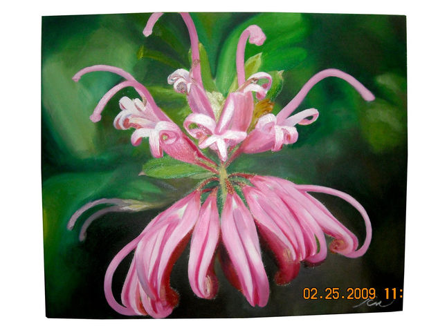 gravillea sericea estudio Oil Canvas Floral Painting