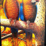 aves de mi tierra thumbnail 2