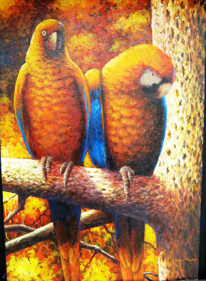 GUACAMAYAS Oil Canvas Animals