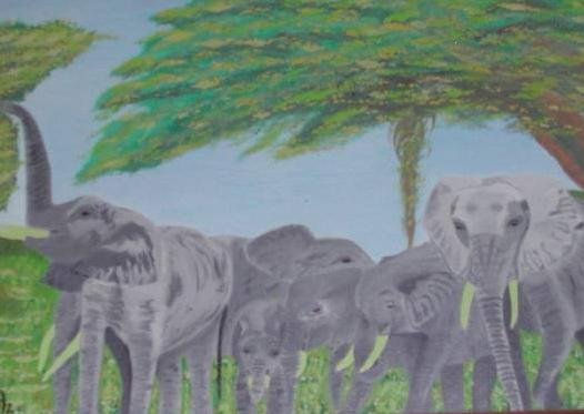 Elephants Oil Canvas