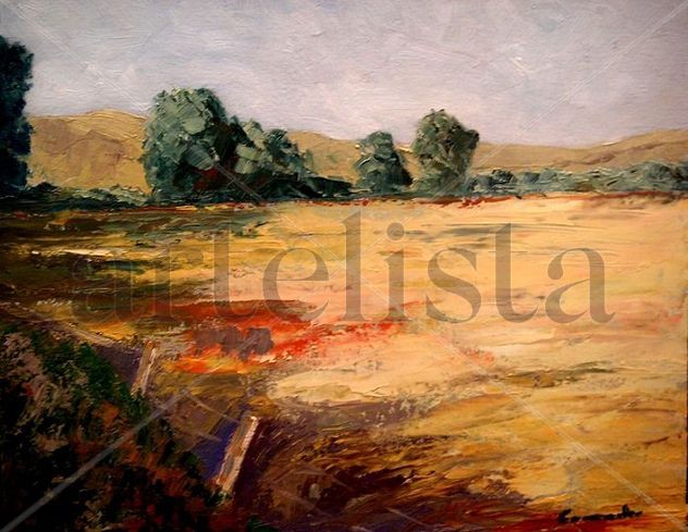 CAMPO