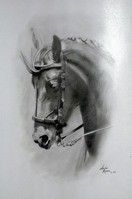 Cabeza de caballos.