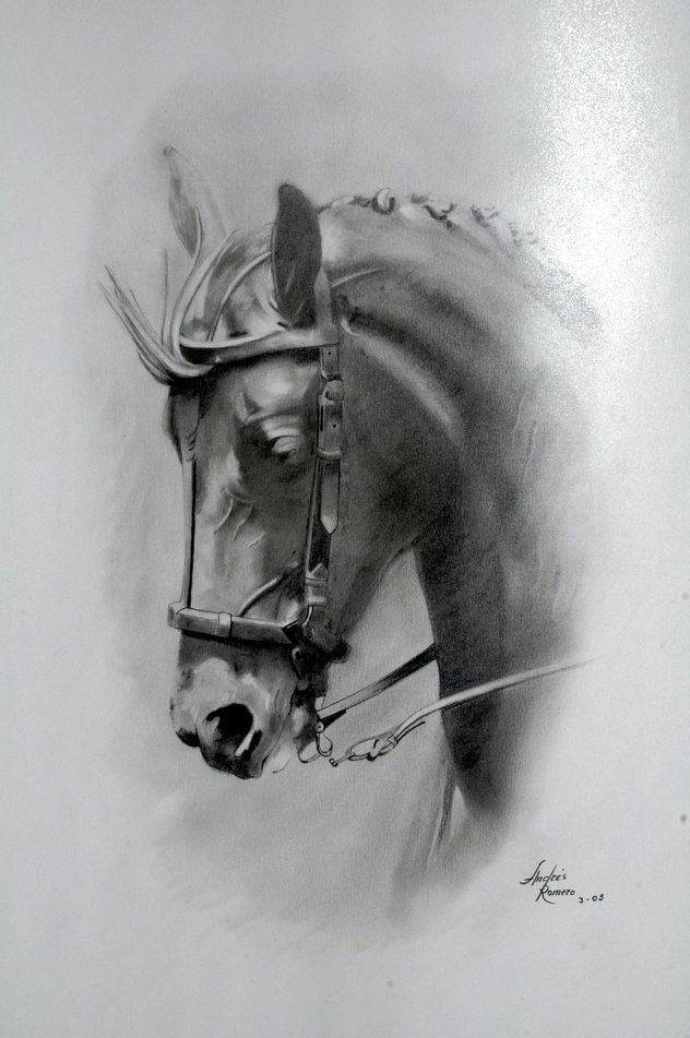 cabeza de caballos.