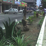 CIUDAD DE PUERTO CABELLO thumbnail 1