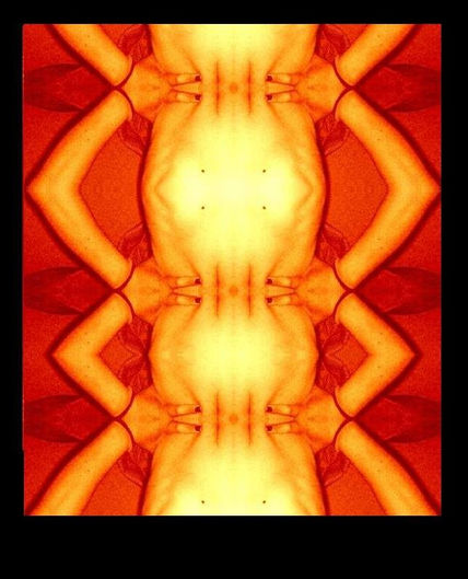 Iii