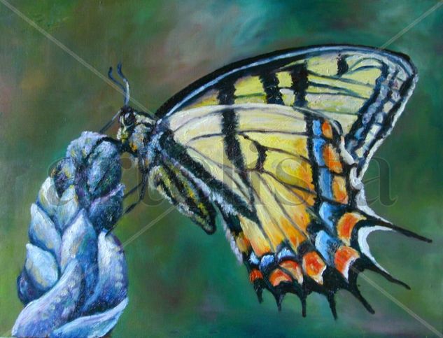 MARIPOSA Oil Canvas Animals