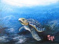 LA TORTUGA