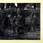 Flores Silvestres thumbnail 2