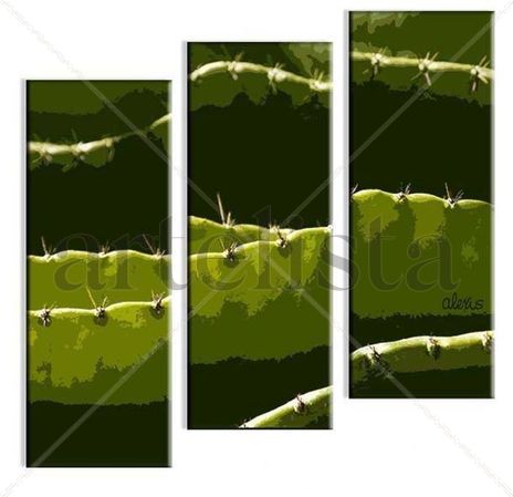 Biombo de nopal