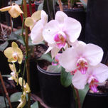 Naturaleza (varios) thumbnail 2